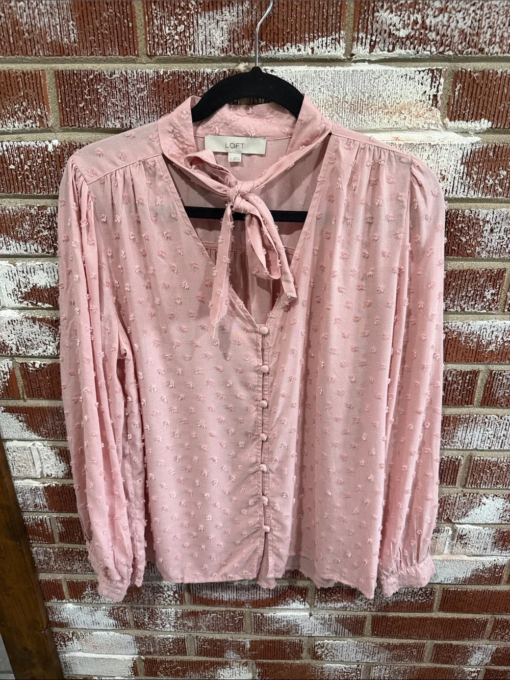 LOFT Feminine Balletcore Swiss Dot Button Front Top Size S